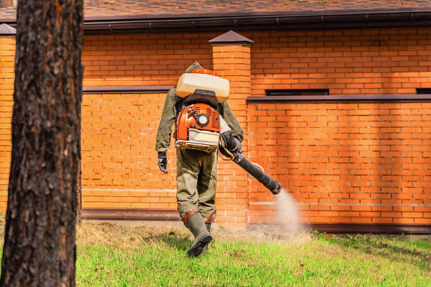 Trusted Termite Control service in New Hope, MN - Nex Pest Control